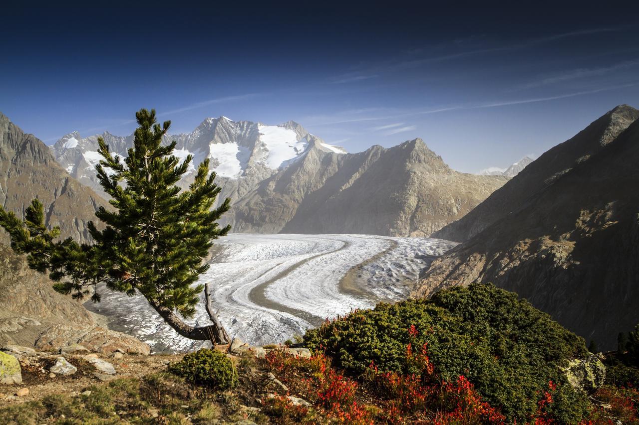 Vila Alphuette Bielerchaeller Fiesch Exteriér fotografie